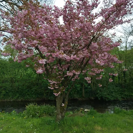 Ferienhaus Au Fil De L Eau *