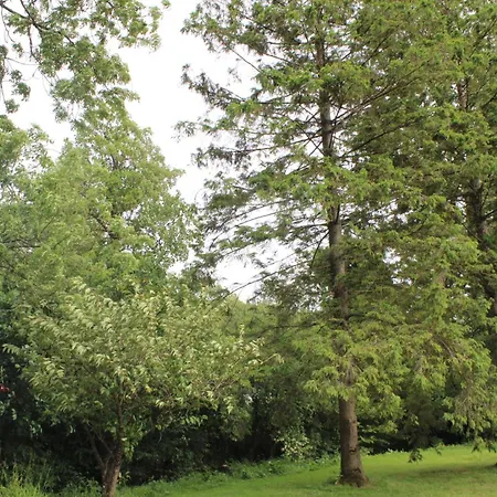 Au Fil De L Eau * Doudeauville